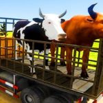 Animal Transport Truck Driving Game 3D