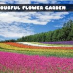 Colourful Flower Garden Jigsaw