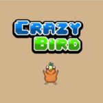 Crazy Bird