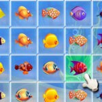 Fishing Puzzles