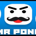 Mr Pong