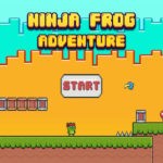 Ninja Frog Adventure