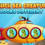 Which Sea Creature Looks Different