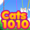Cats 1010